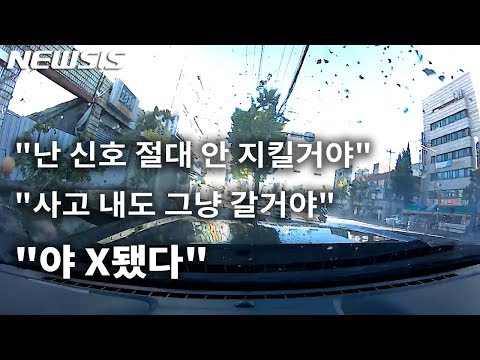 서울 대낮 도심서 외제차로 177km 질주하다 '쾅'