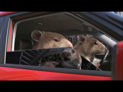 Kia Soul Hamster Commercial in HD(High Definition)