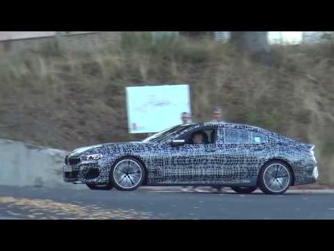 NEW BMW 8-SERIES testing on the NÜRBURGRING! 2019 M8 (Cabriolet), M850i (CRASH) & Gran Coupe!