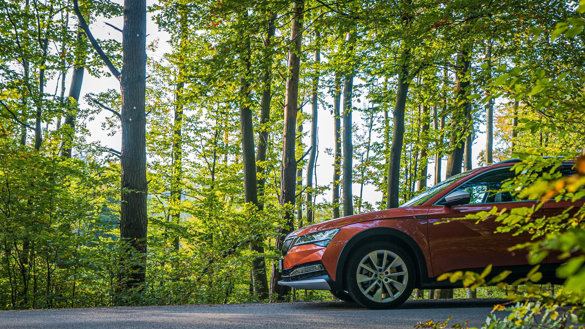 Test Škoda Superb Scout