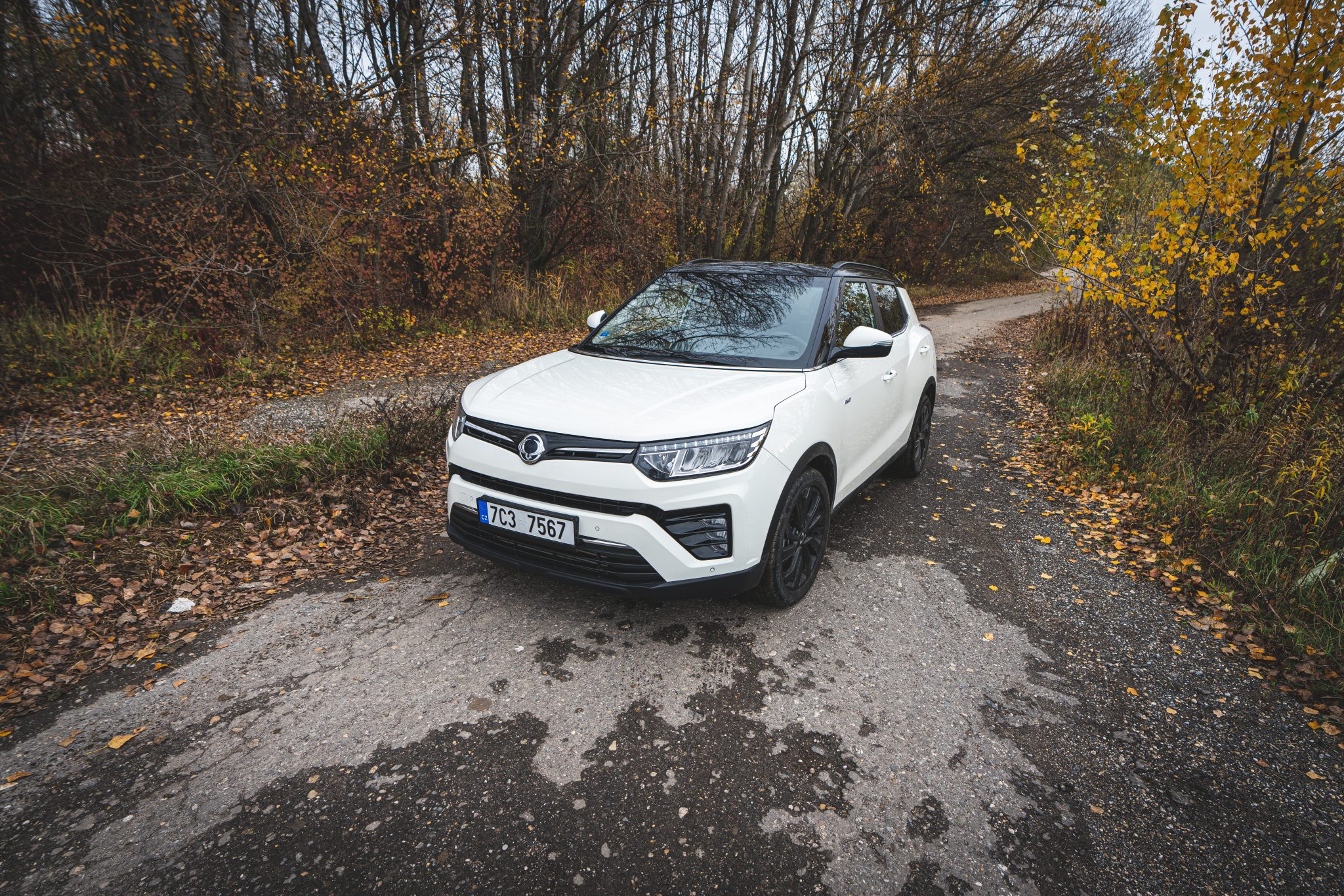 Ssang Yong Tivoli 2019