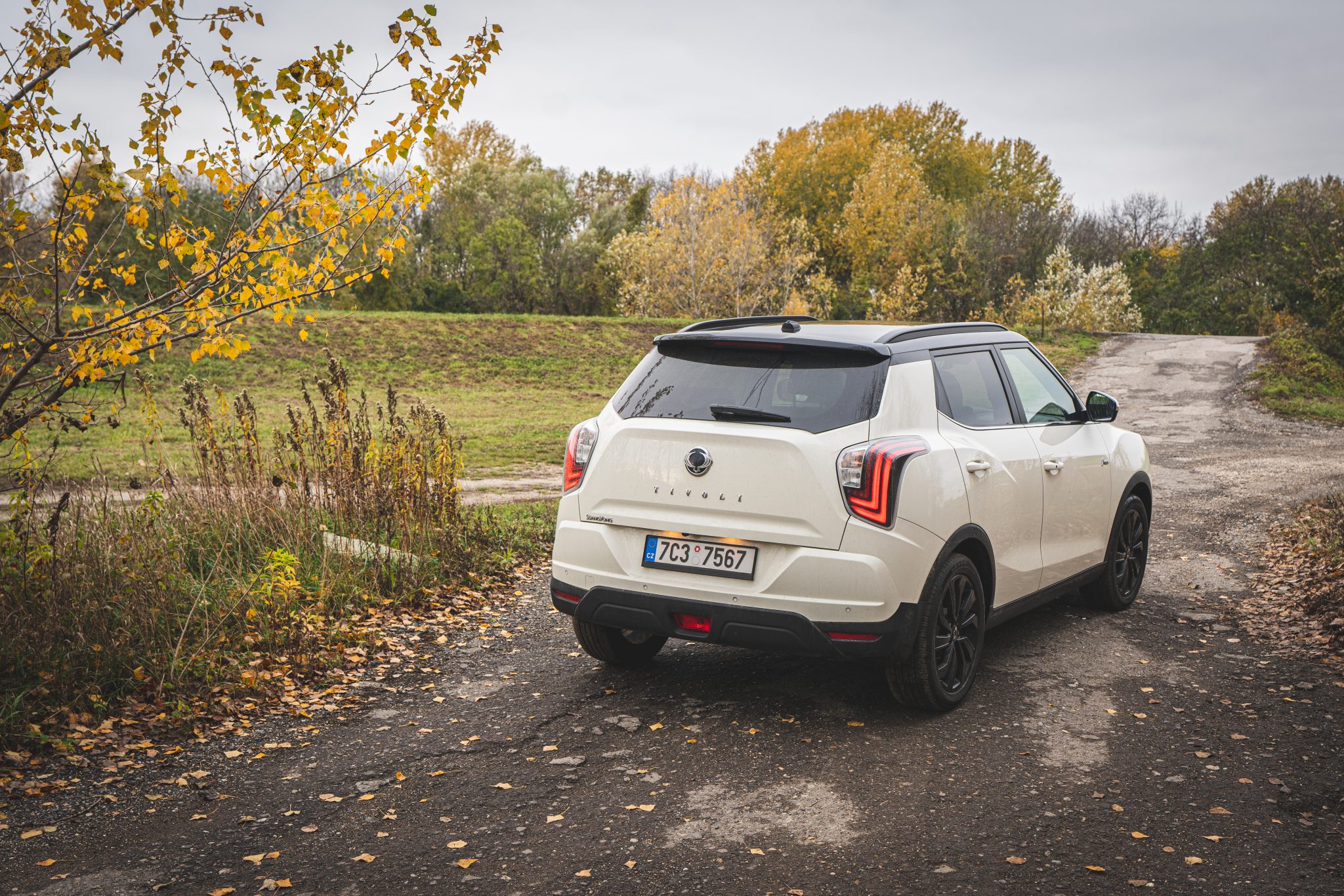 Ssang Yong Tivoli 2019