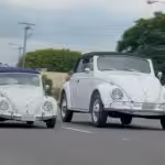 beetle