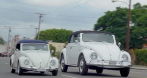 beetle