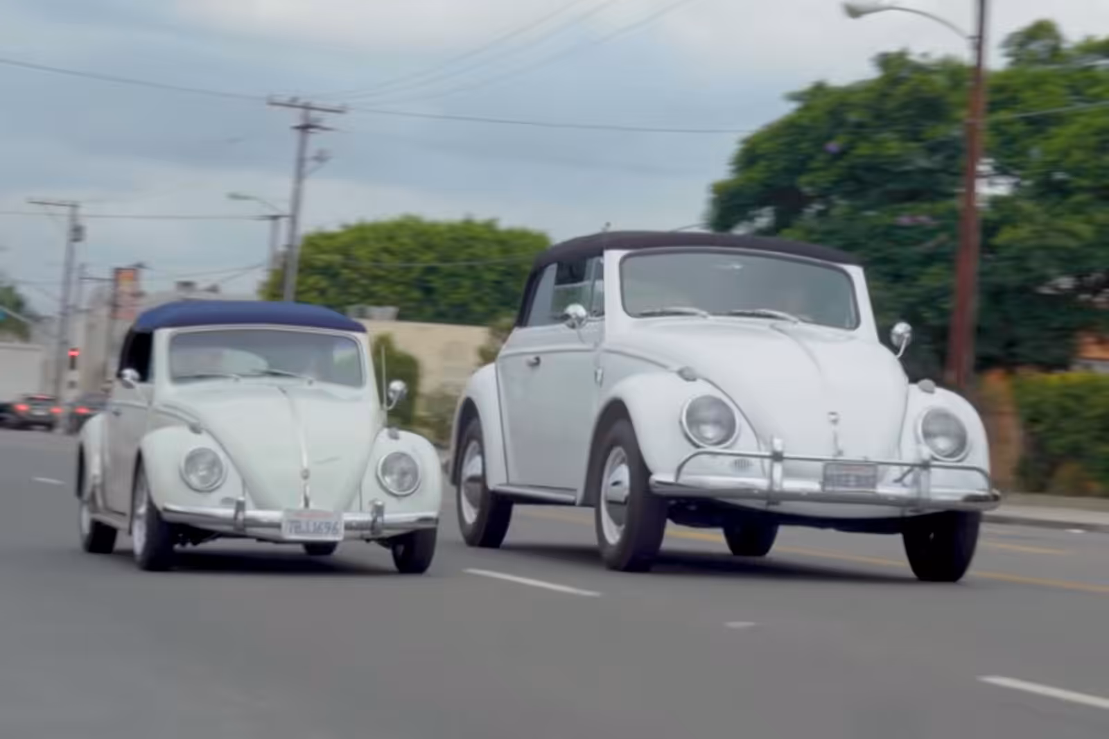 beetle