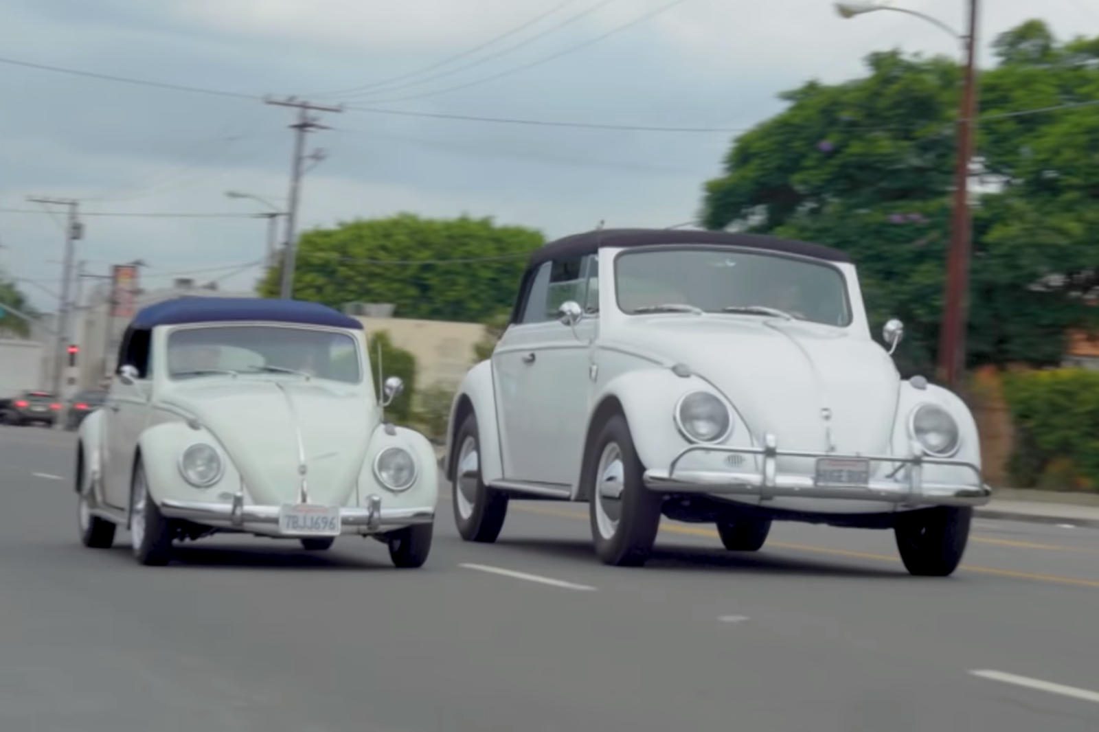 beetle