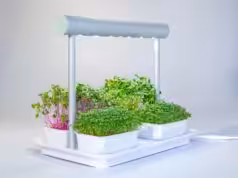 Inteligentná ponožka či kvetináče, na Slovensko prichádzajú noví smart pomocníci.