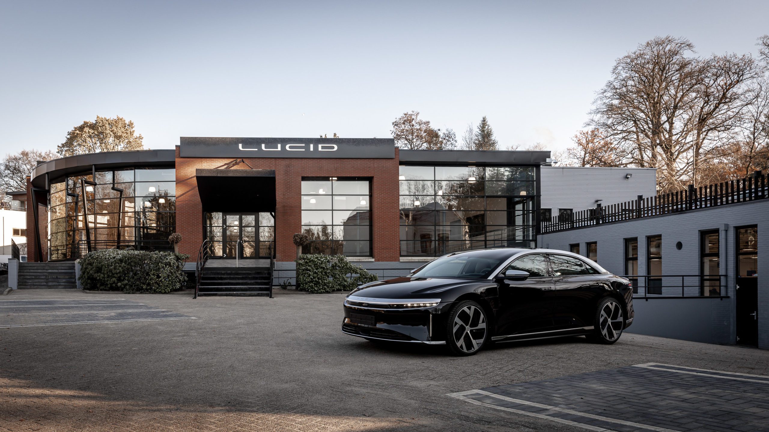 Lucid