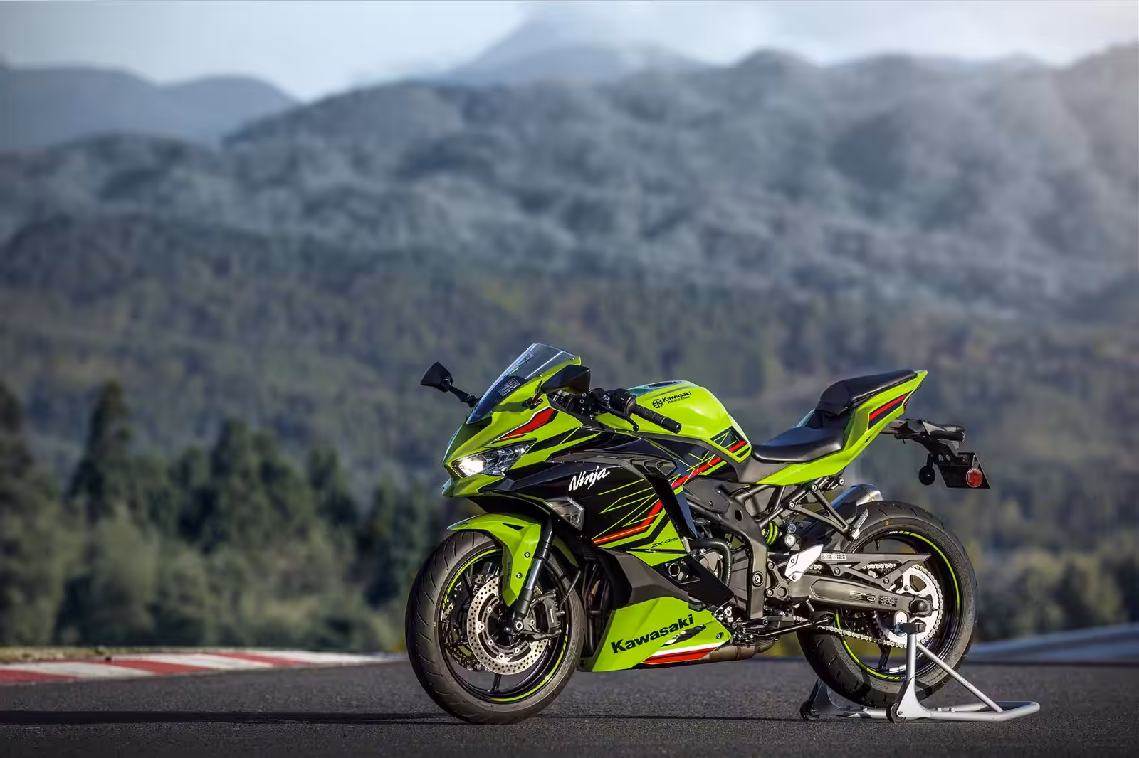Kawasaki Ninja