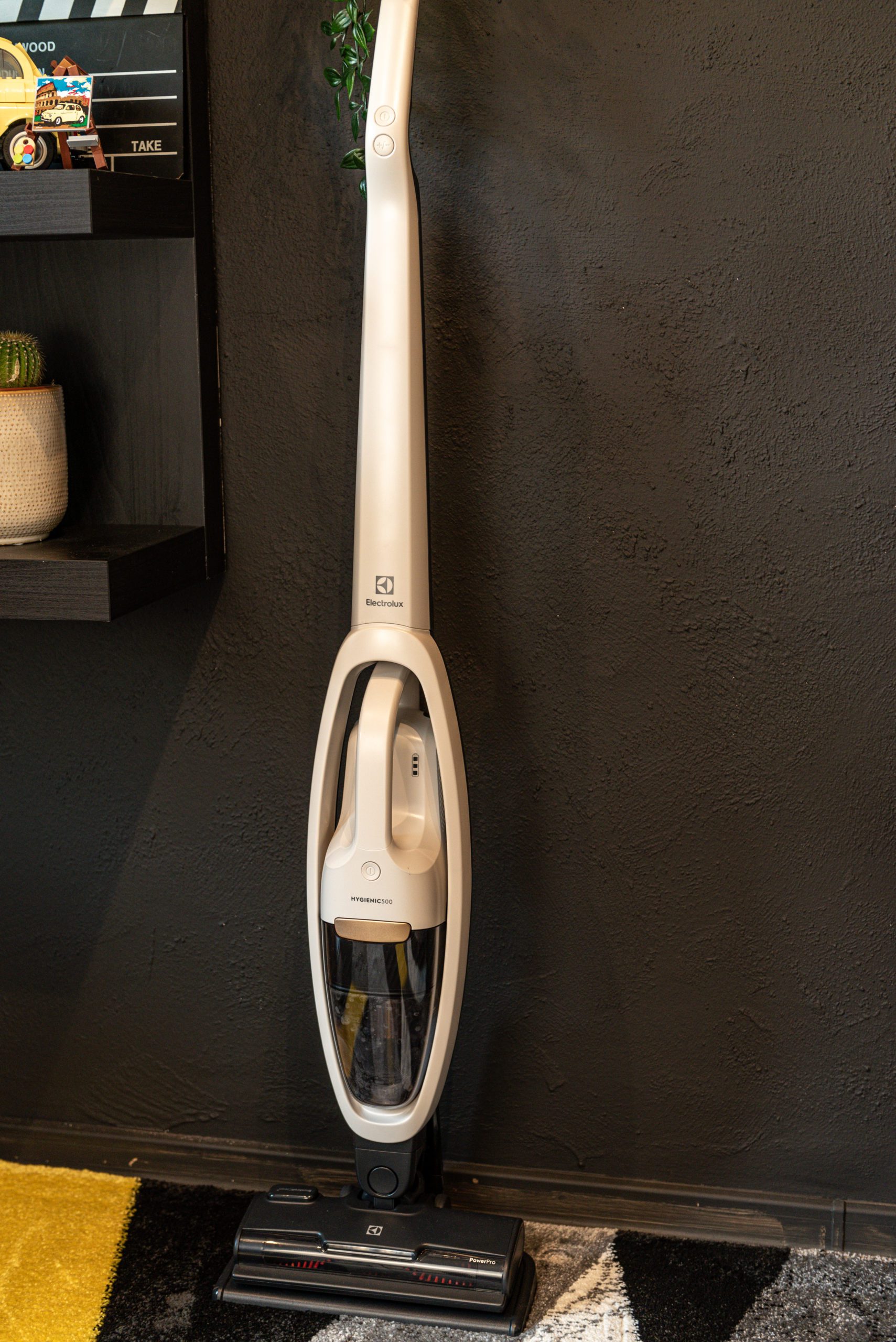 Electrolux Hygienic 500