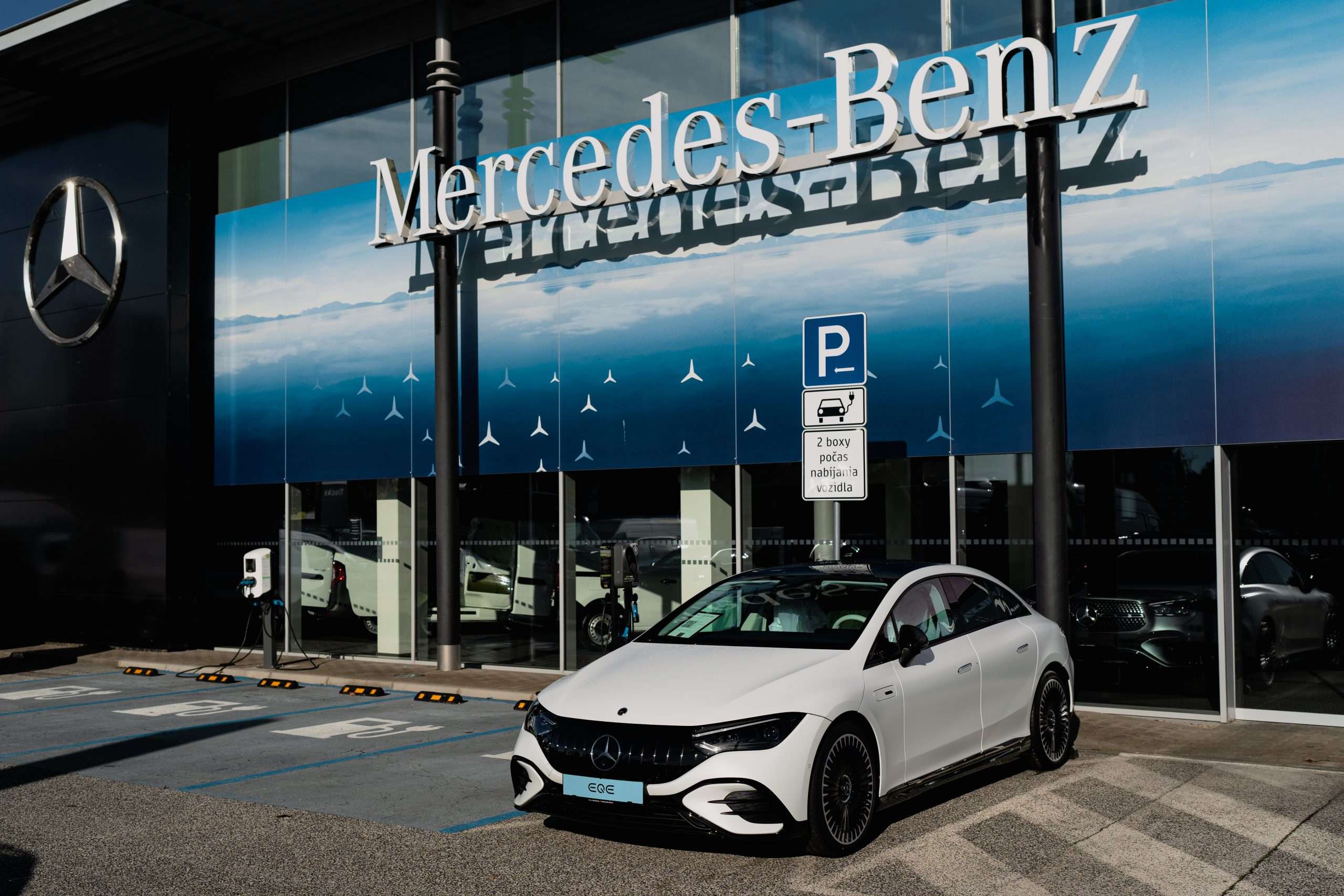 servis elektromobilov
