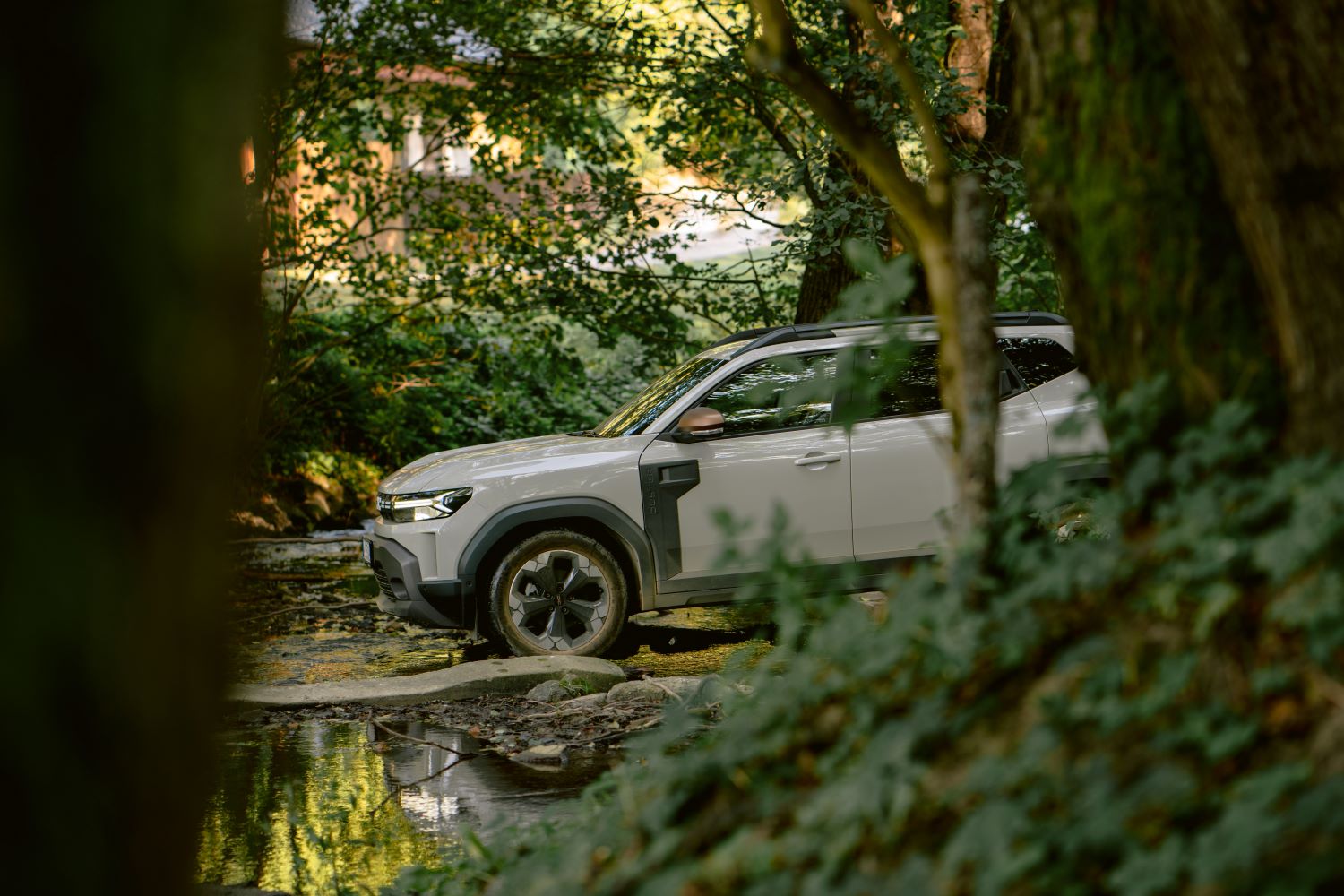 Dacia Duster v lese