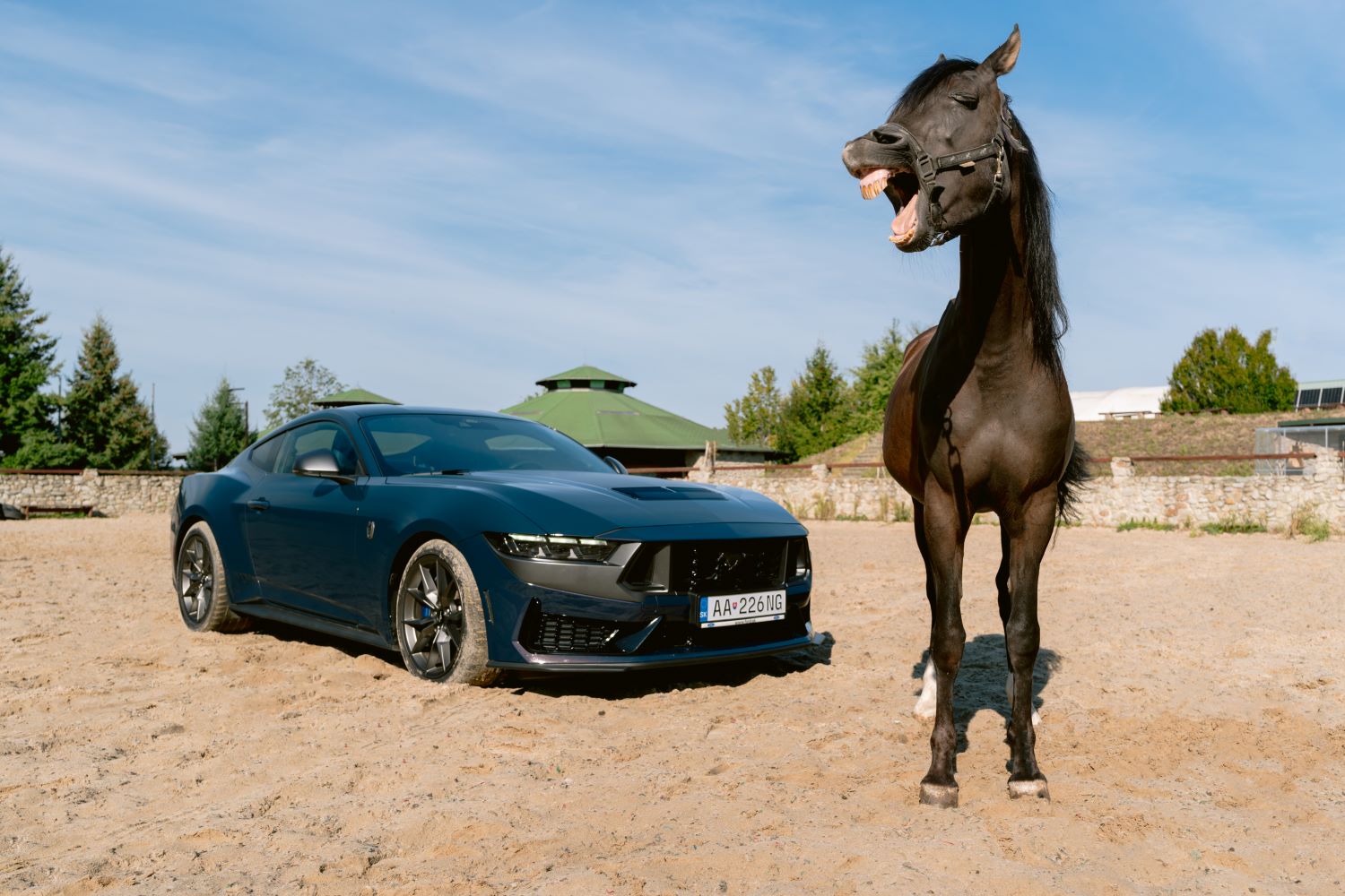 Ford Mustang a kôň