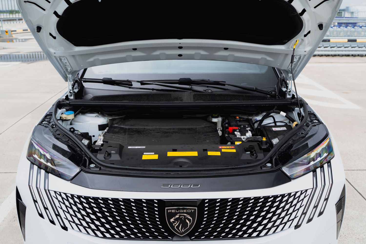 Peugeot E-3008