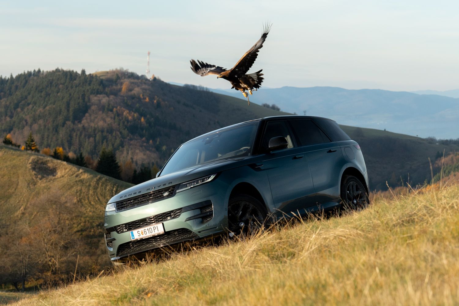 orol skalný letí ponad Ronge Rover Sport