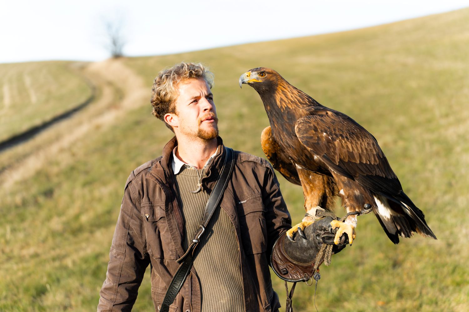 sokoliar Mário Bujňák a orlica Monza