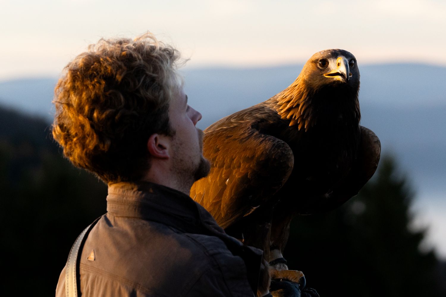 sokoliar Mário Bujňák a orlica Monza