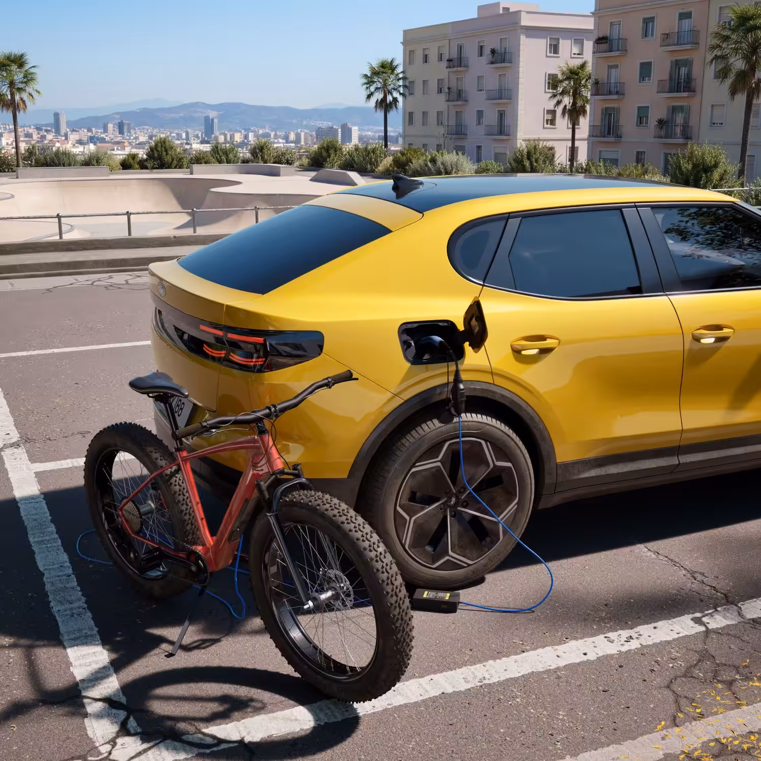 Ford Capri Collection