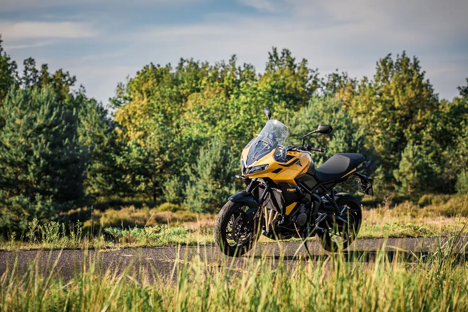 Triumph Tiger Sport 800