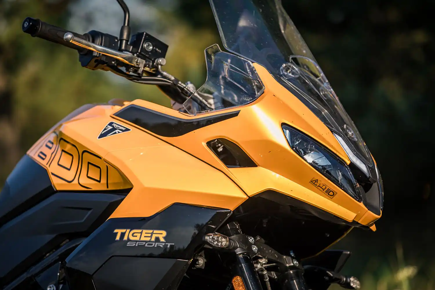 Triumph Tiger Sport 800