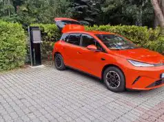 BYD Dolphin G