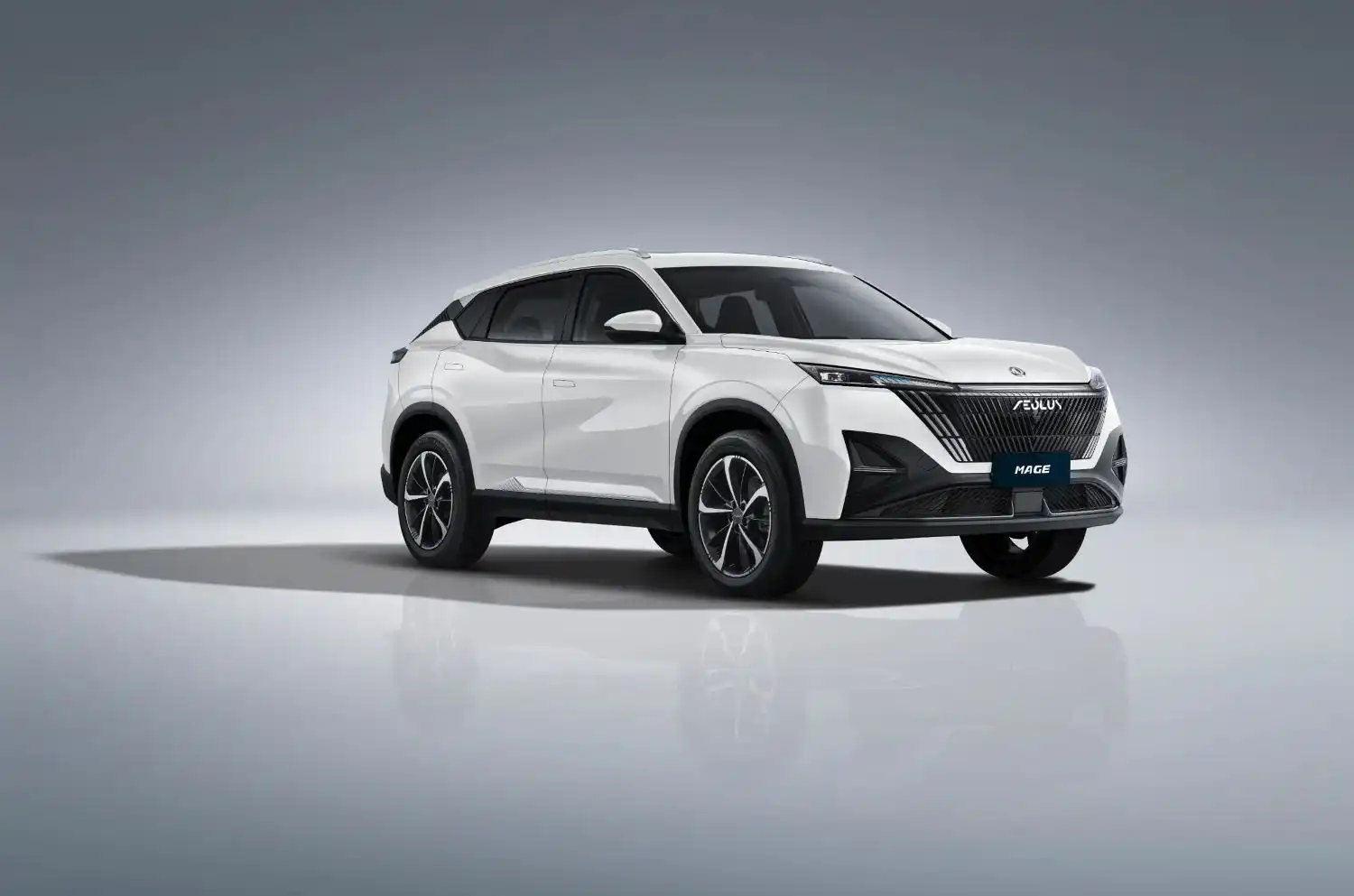 Dongfeng MAGE