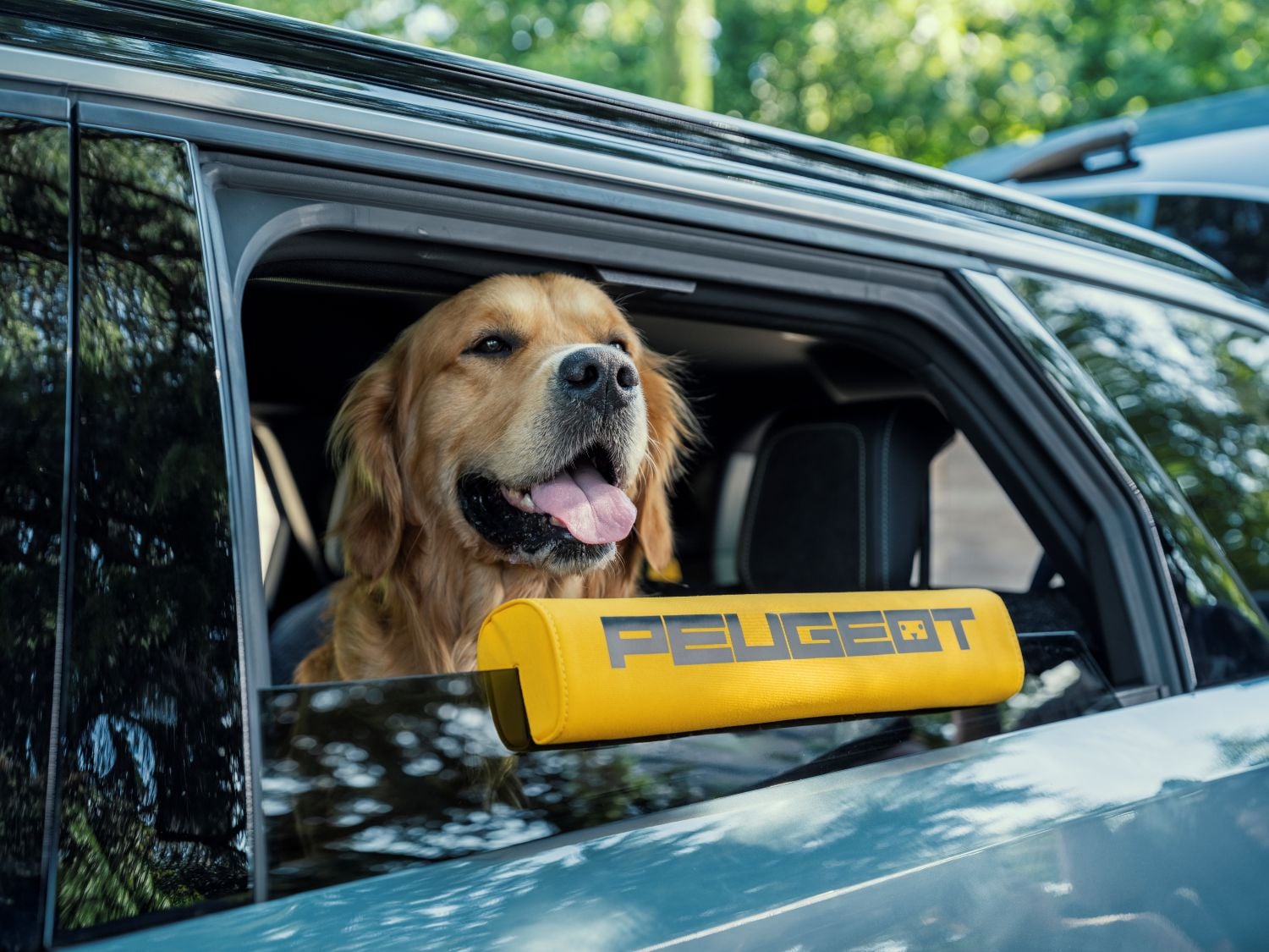 Peugeot E-5008 Dog Edition Concept