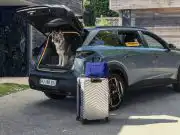 Pes dostal pri navrhovaní auta hlavné slovo. Peugeot prišiel s nečakaným nápadom Peugeot E-5008 Dog Edition Concept