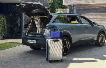 Pes dostal pri navrhovaní auta hlavné slovo. Peugeot prišiel s nečakaným nápadom Peugeot E-5008 Dog Edition Concept