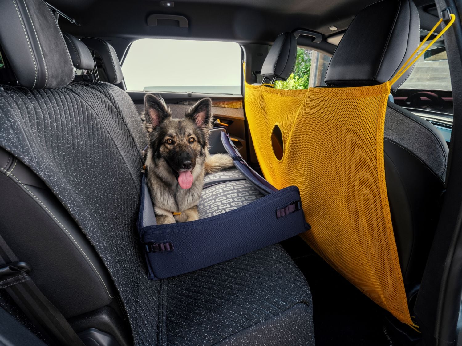 Peugeot E-5008 Dog Edition Concept