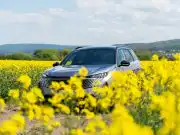Toto rodinné SUV nás nadchlo. K dokonalosti mu chýba jedna vec Peugeot e-5008