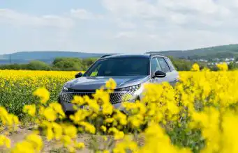 Toto rodinné SUV nás nadchlo. K dokonalosti mu chýba jedna vec Peugeot e-5008
