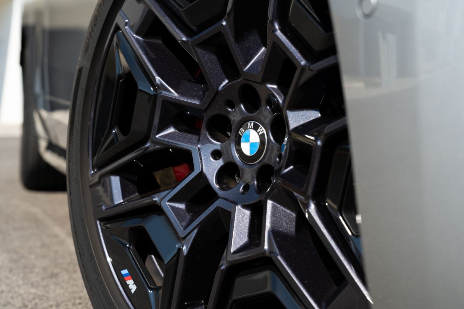 disk kolesa na BMW iX 60 xDrive