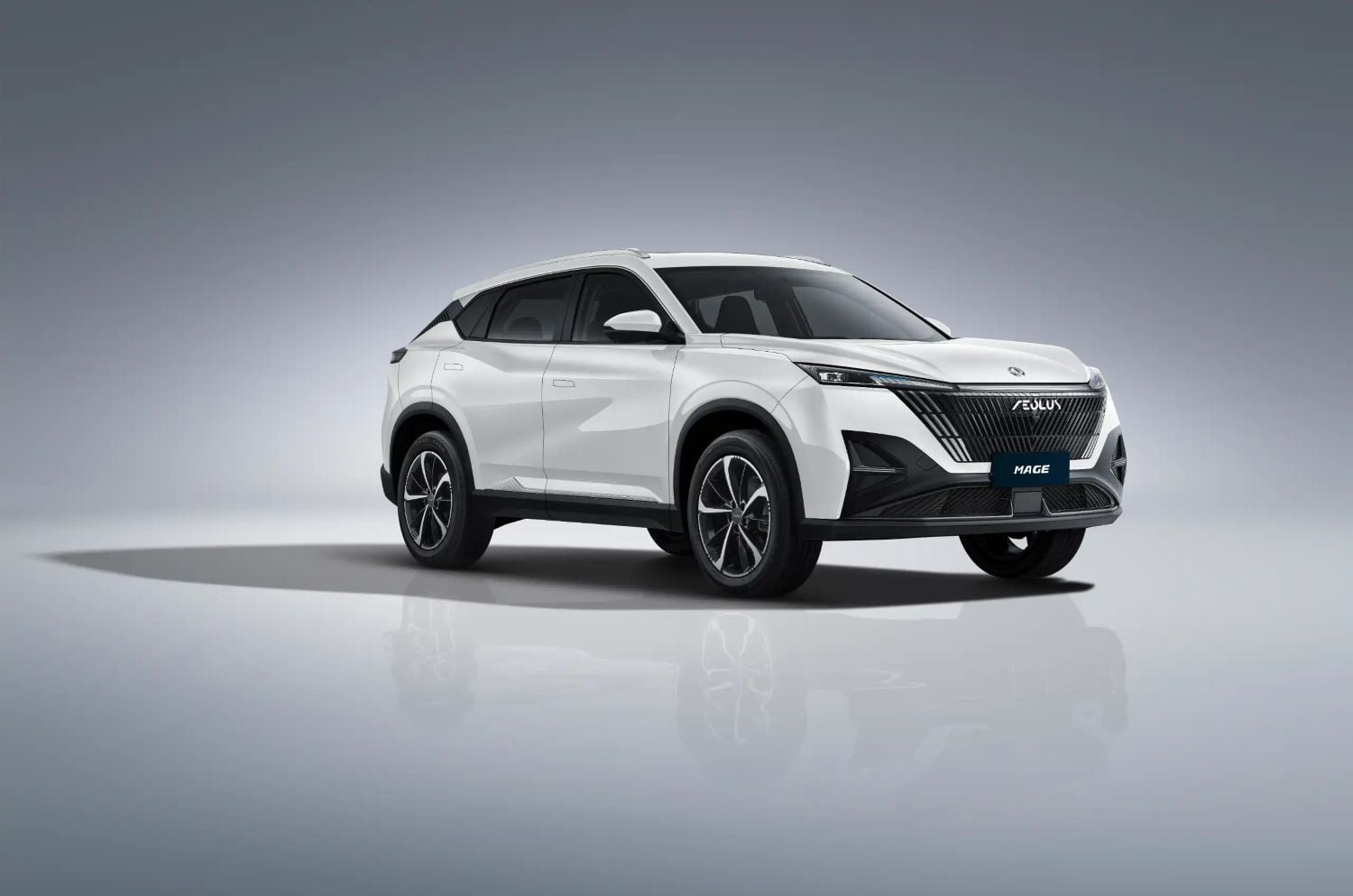 Dongfeng Mage